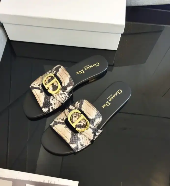 hype Christian Dior Slippers