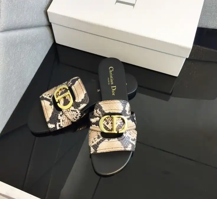 hype Christian Dior Slippers