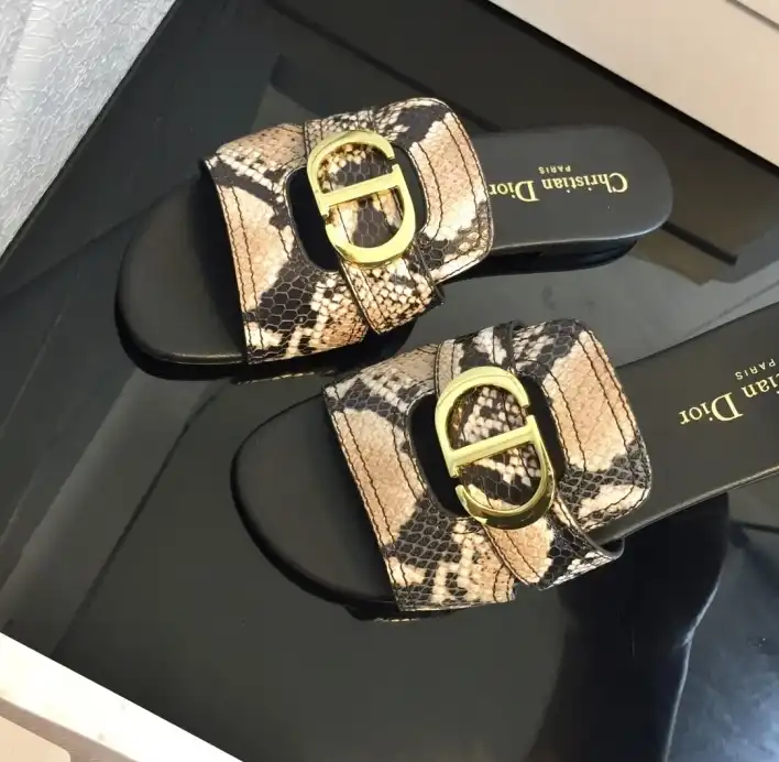 hype Christian Dior Slippers