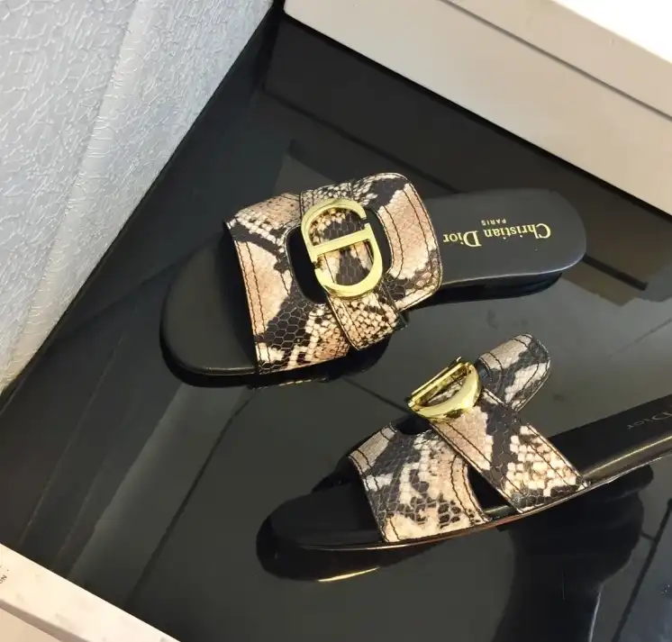 hype Christian Dior Slippers