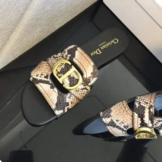 hype Christian Dior Slippers