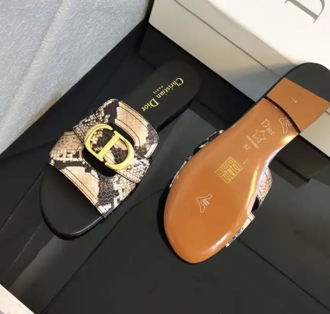 hype Christian Dior Slippers