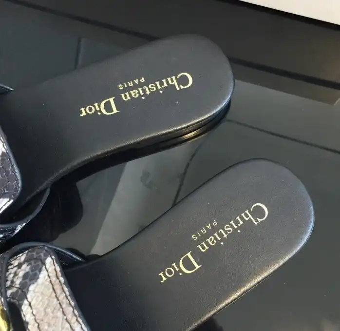 hype Christian Dior Slippers