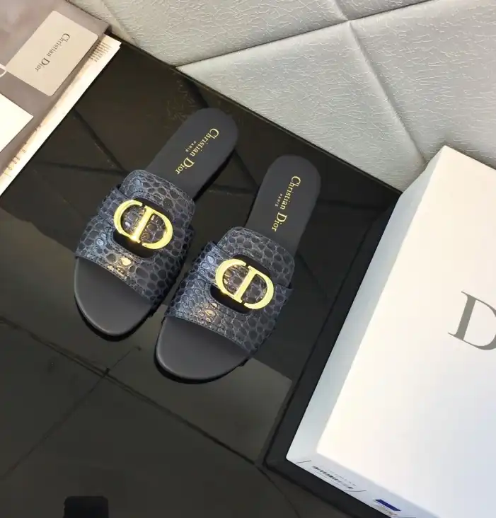 hype Christian Dior Slippers