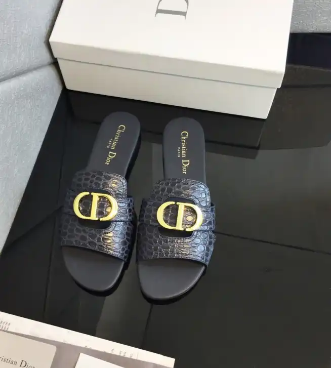 hype Christian Dior Slippers