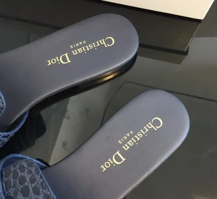 hype Christian Dior Slippers