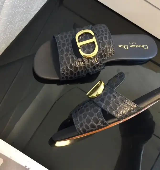 hype Christian Dior Slippers