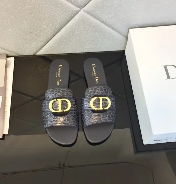 hype Christian Dior Slippers