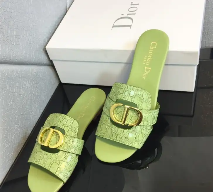 hype Christian Dior Slippers