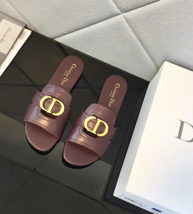 hype Christian Dior Slippers