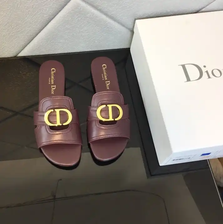 hype Christian Dior Slippers