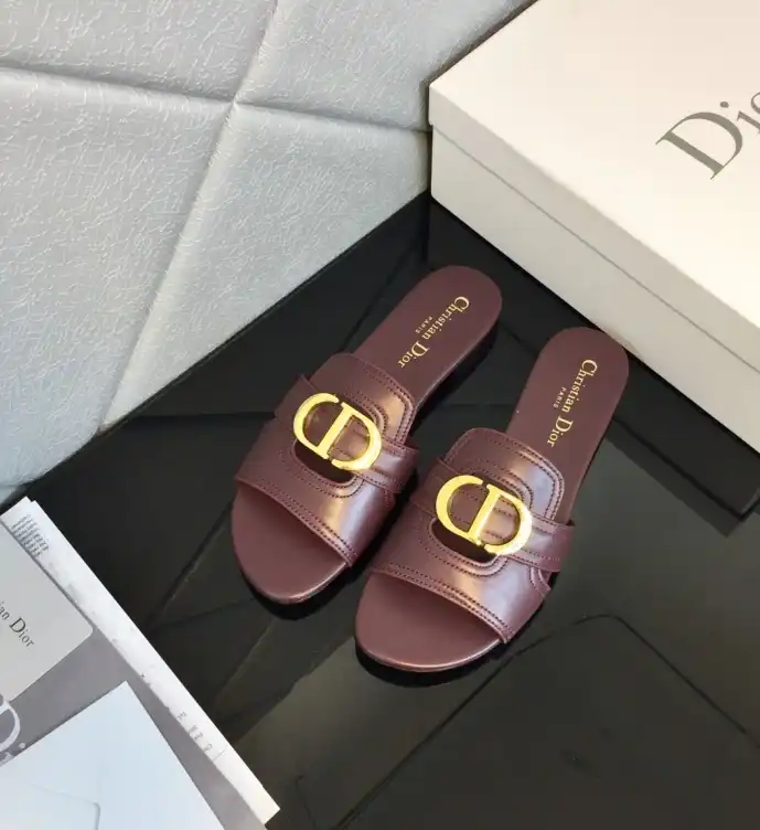 hype Christian Dior Slippers