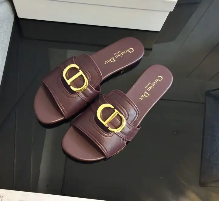 hype Christian Dior Slippers