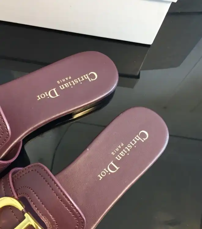 hype Christian Dior Slippers