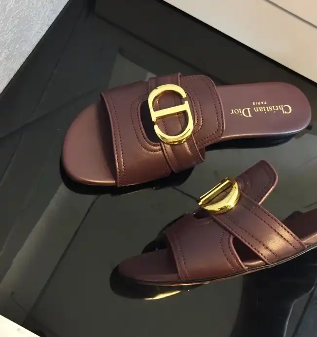 hype Christian Dior Slippers