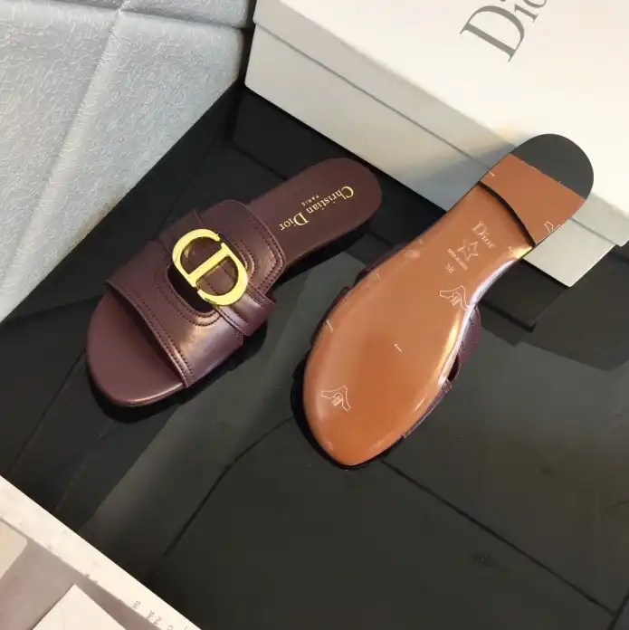 hype Christian Dior Slippers