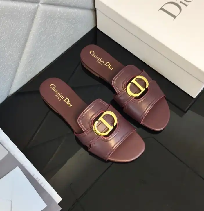 hype Christian Dior Slippers