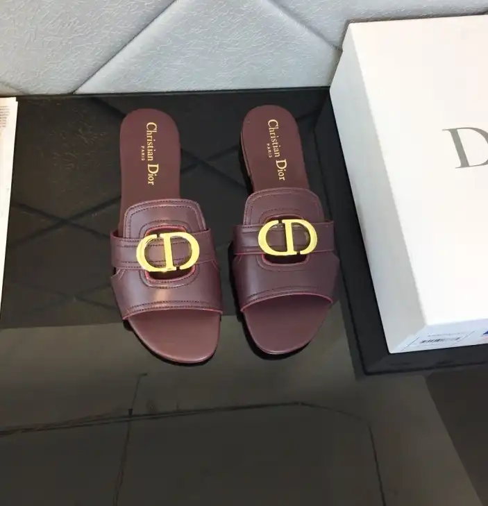 hype Christian Dior Slippers