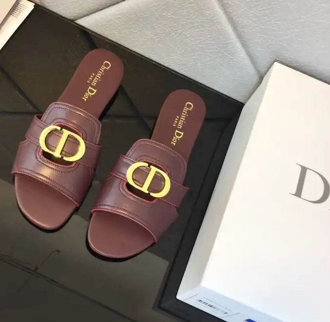 hype Christian Dior Slippers