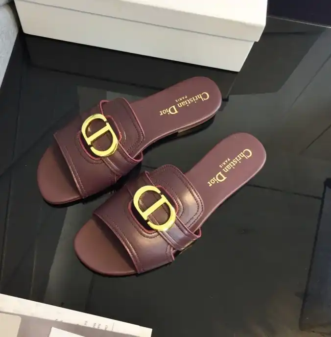 hype Christian Dior Slippers