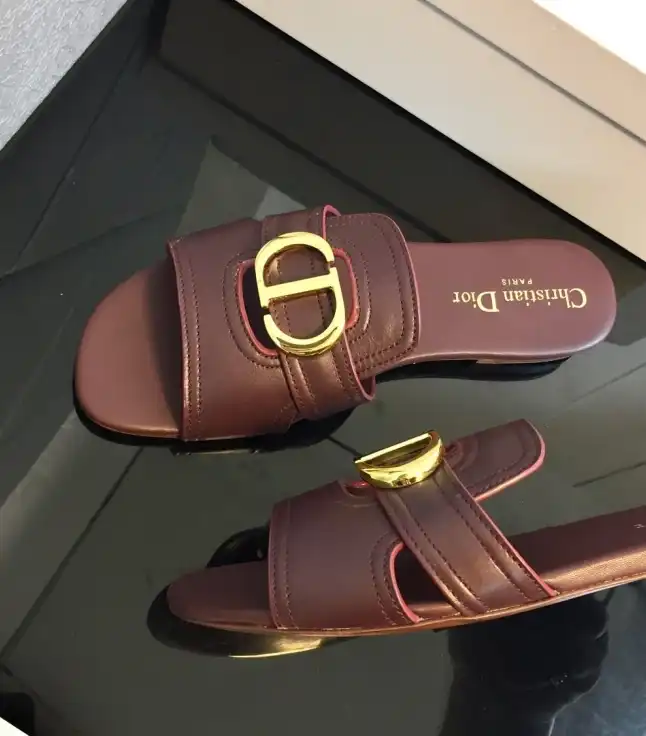 hype Christian Dior Slippers