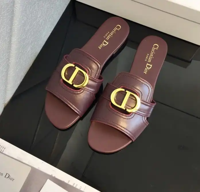 hype Christian Dior Slippers