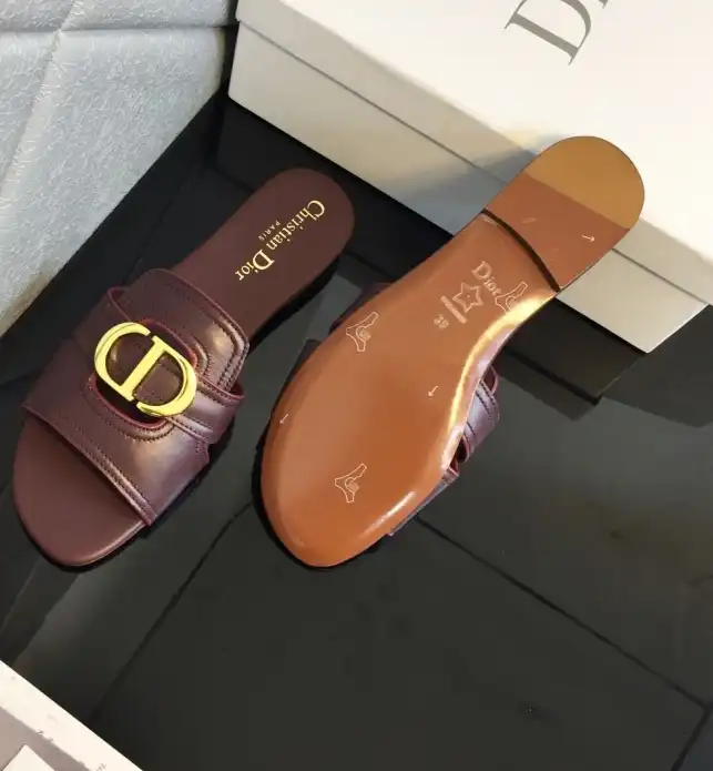 hype Christian Dior Slippers