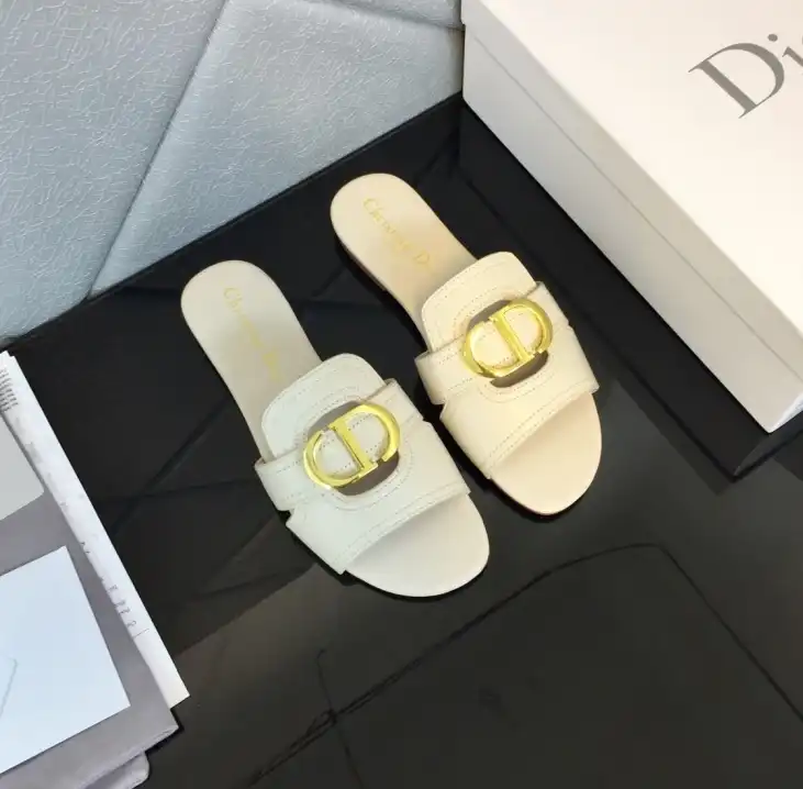 hype Christian Dior Slippers