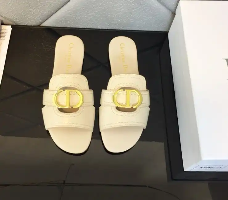 hype Christian Dior Slippers