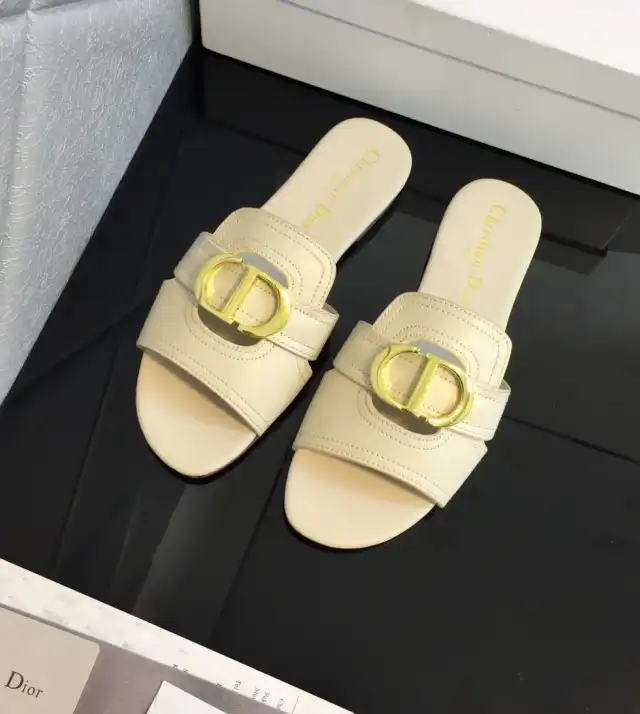 hype Christian Dior Slippers