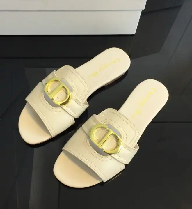 hype Christian Dior Slippers