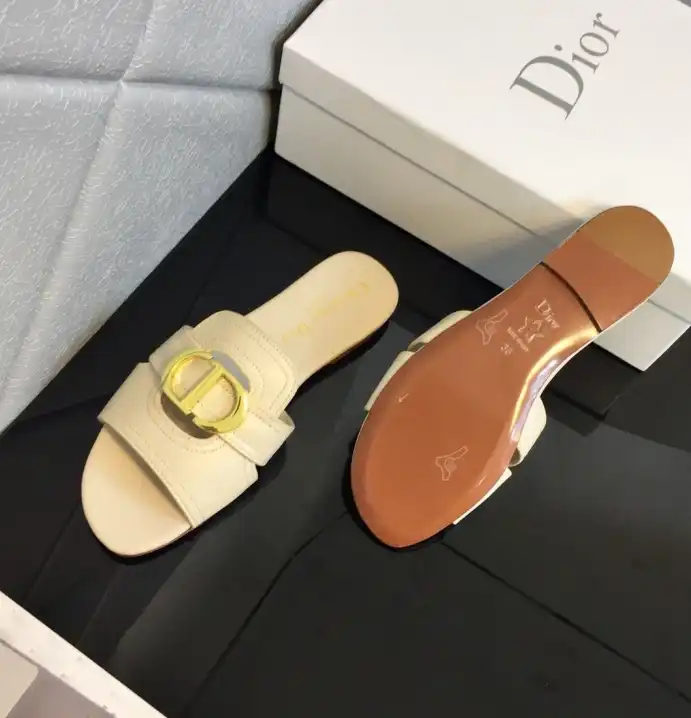 hype Christian Dior Slippers