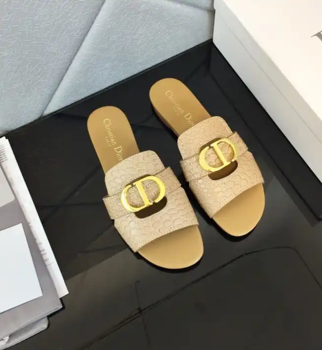 hype Christian Dior Slippers