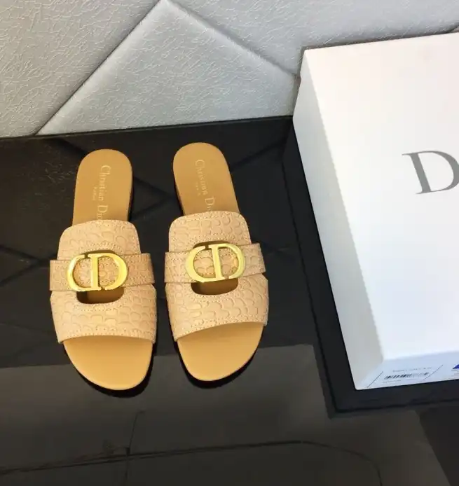 hype Christian Dior Slippers