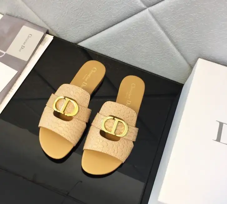 hype Christian Dior Slippers