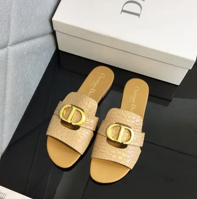 hype Christian Dior Slippers