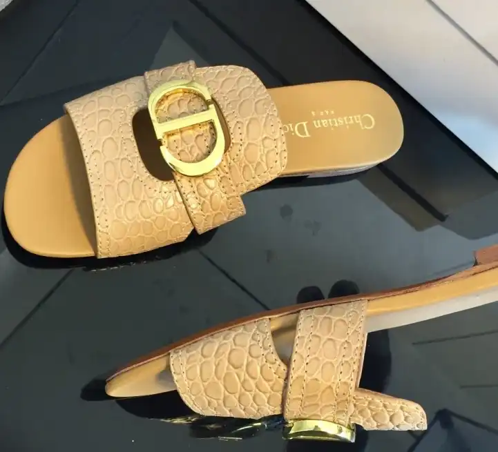 hype Christian Dior Slippers