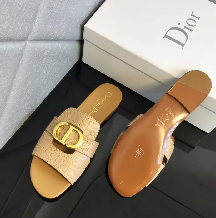 hype Christian Dior Slippers