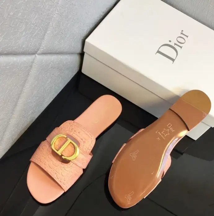 hype Christian Dior Slippers