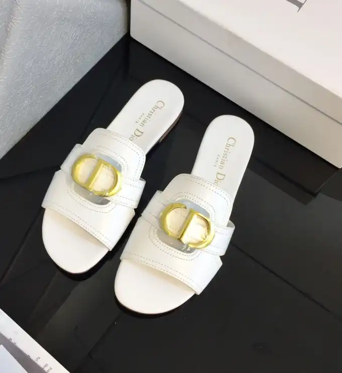 hype Christian Dior Slippers