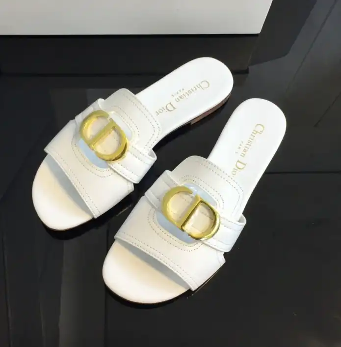 hype Christian Dior Slippers