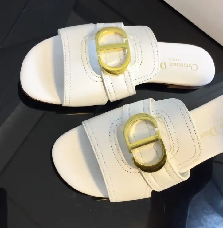 hype Christian Dior Slippers