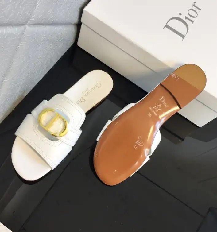 hype Christian Dior Slippers