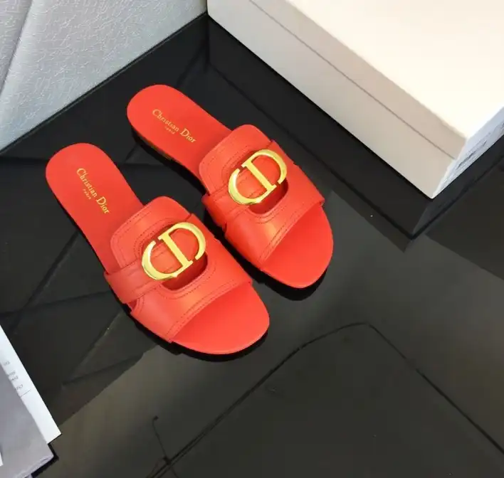 hype Christian Dior Slippers