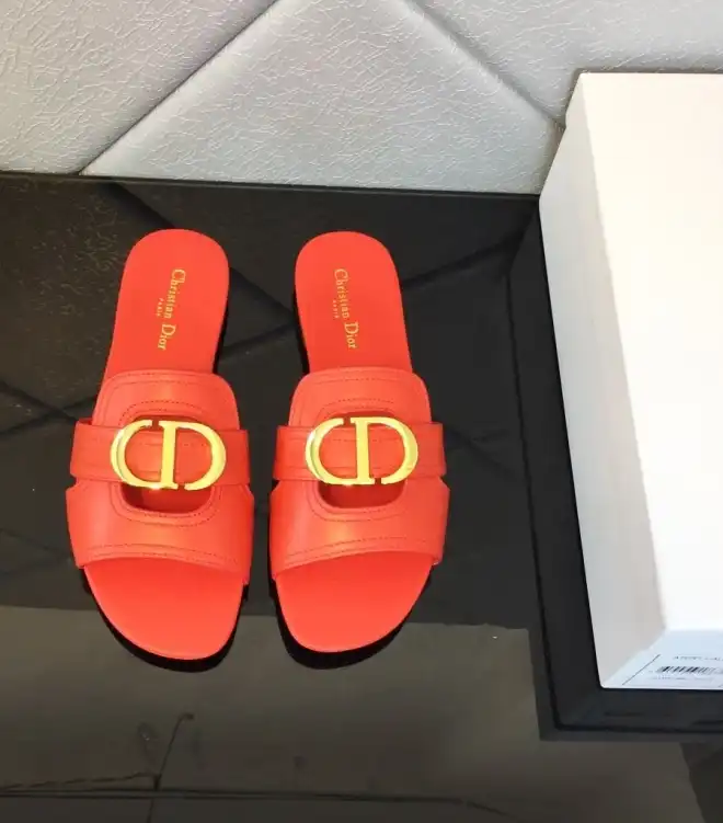 hype Christian Dior Slippers