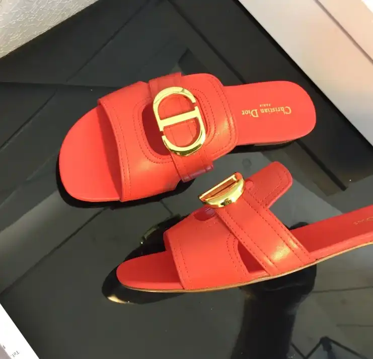 hype Christian Dior Slippers