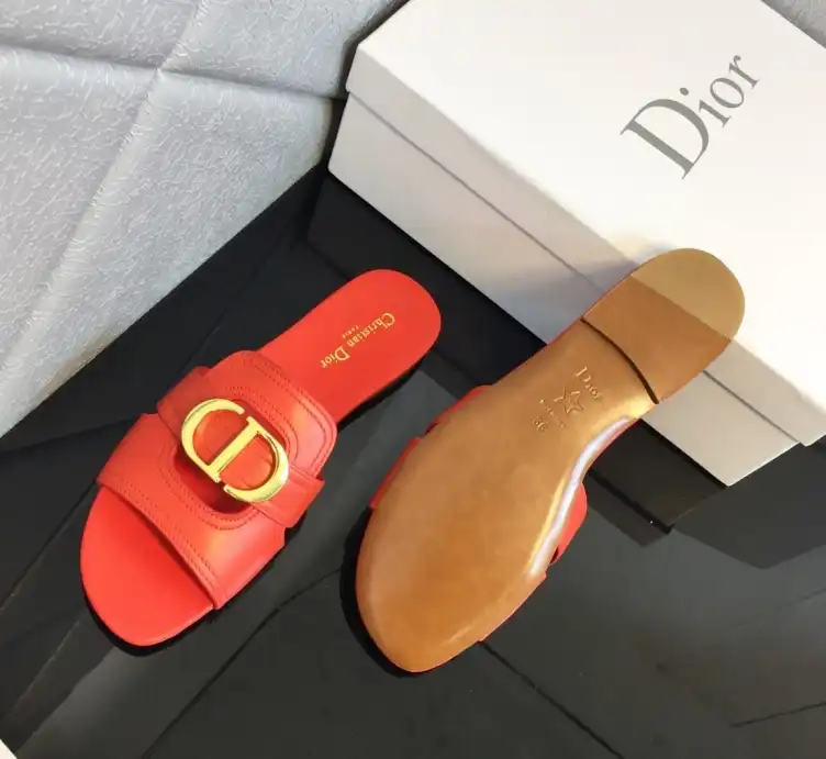 hype Christian Dior Slippers