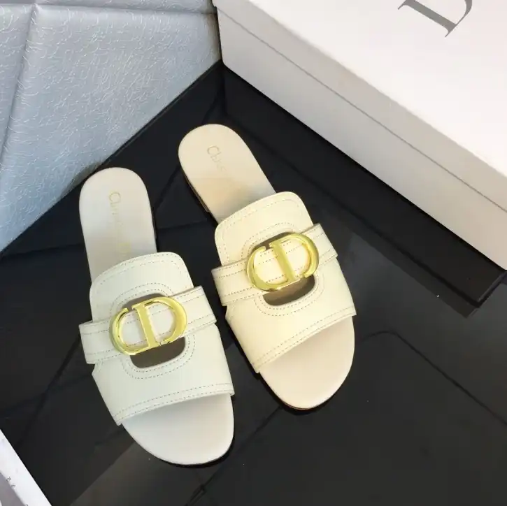 hype Christian Dior Slippers