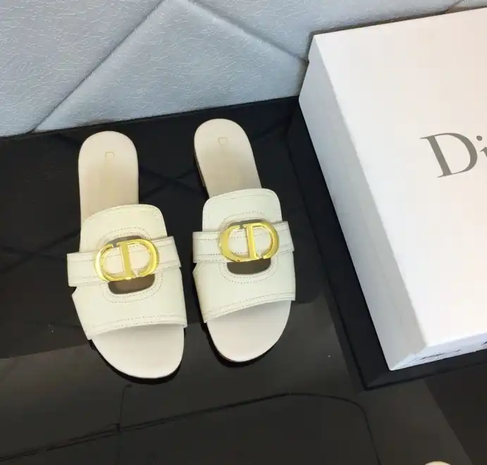 hype Christian Dior Slippers