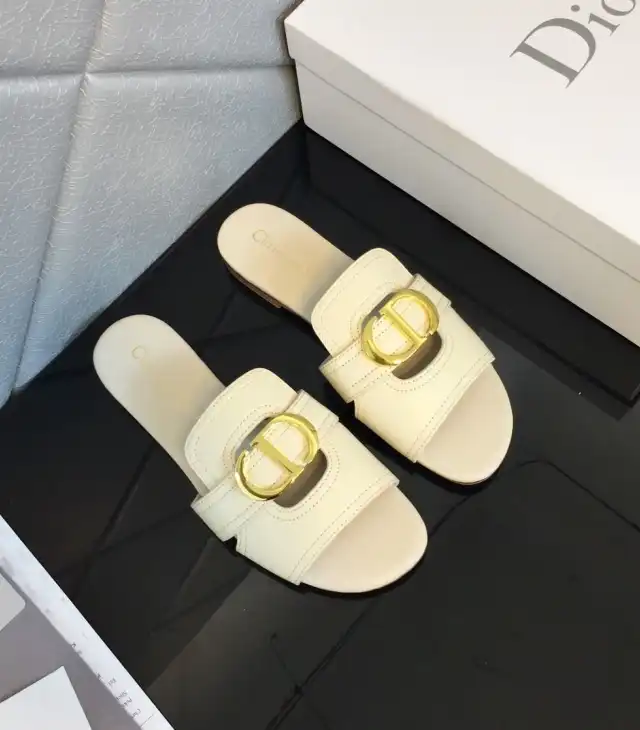 hype Christian Dior Slippers